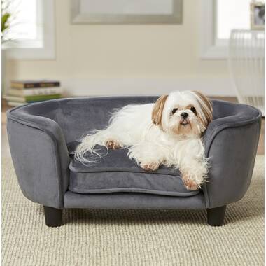 Wayfair jackson shop dog sofa